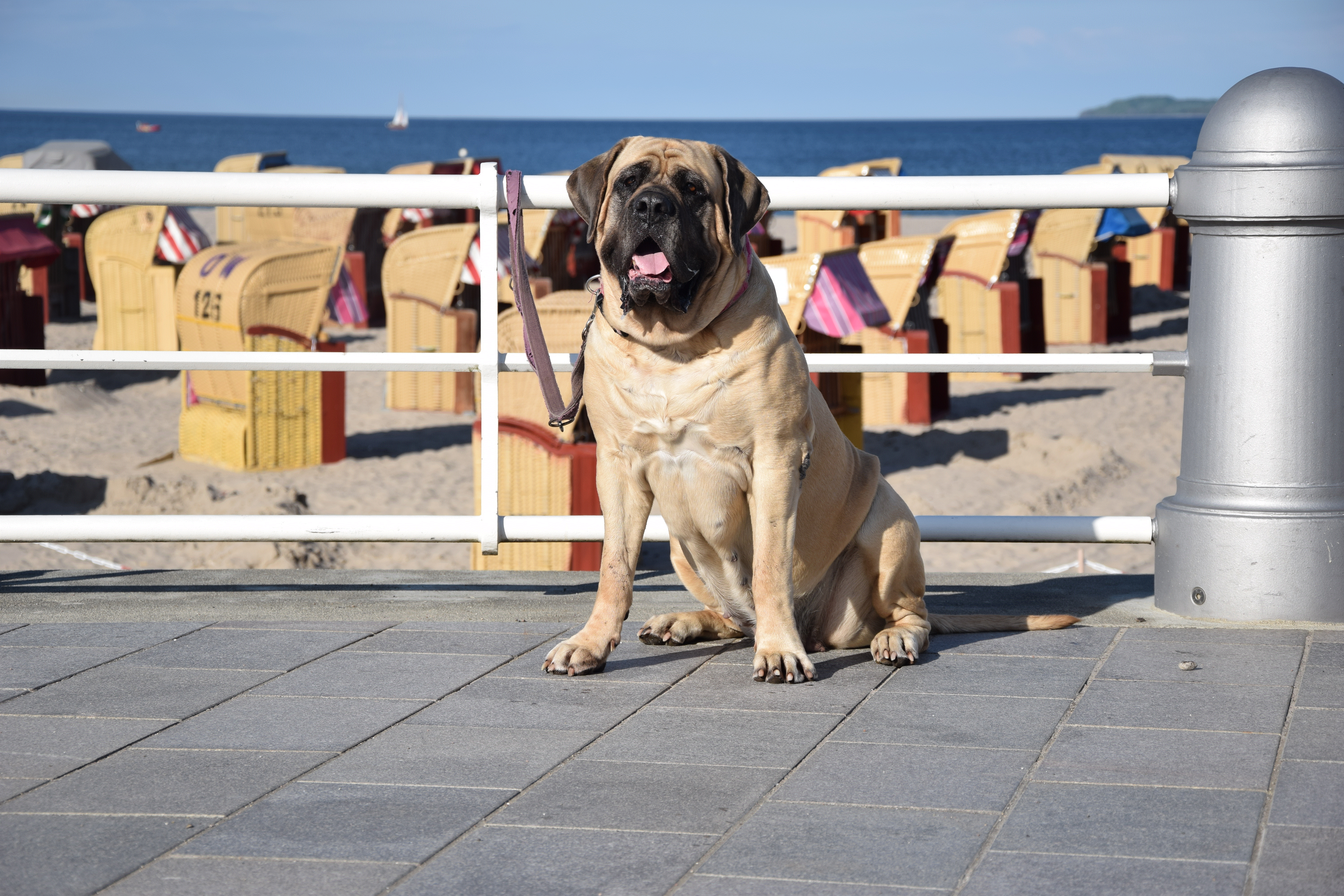 Fenja mit 7 Jahre und 8 Monate
